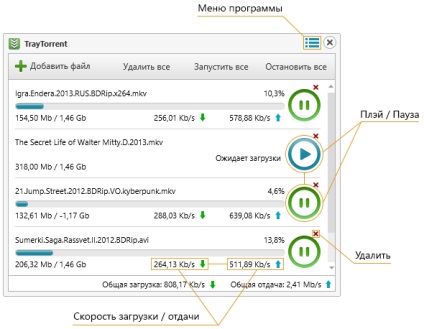 Cum se utilizează serverul torrent client