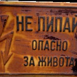 Cum se schimbă permisul de conducere pentru limba bulgară în Varna, viața în Bulgaria și călătoria în Franța