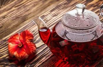 Hogyan készítsünk teát hibiszkusz tea fogyás
