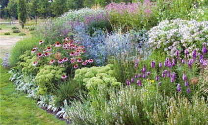 Cum să planificați o grădină și să alegeți plante
