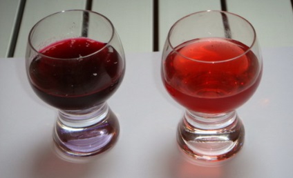 Hogyan készítsünk tinktúrát a szőlőből 