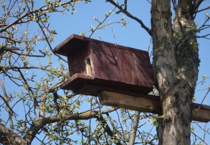 Hogyan készítsünk egy birdhouse-t a saját kezünkkel