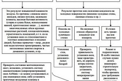 Cum să eliminați mucegaiul pe pereții materialelor, etapelor