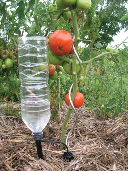 Irigare picurare din sticle de plastic în seră cu mâinile tale avantajele metodei, opțiuni