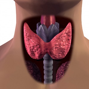 Köhögés pajzsmirigy-betegségben - ébresztés, amely előírja, hogy azonnali választ