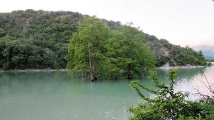 Cypress Lake (szukát) leírása, jellemzői, fotók