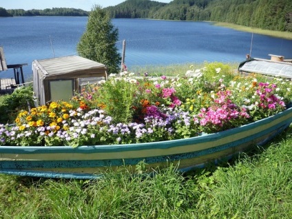 Floarea de flori în barcă este o idee extraordinară a decorului original de grădină