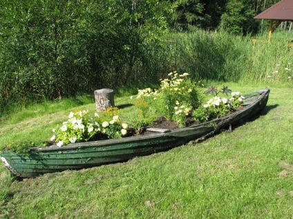 Floarea de flori în barcă este o idee extraordinară a decorului original de grădină