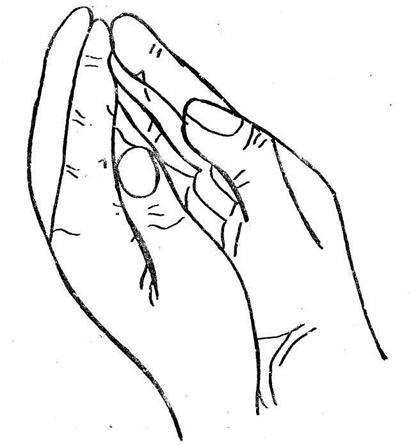 Complex de exerciții pentru dezvoltarea abilităților motrice ale degetelor - stadopedia