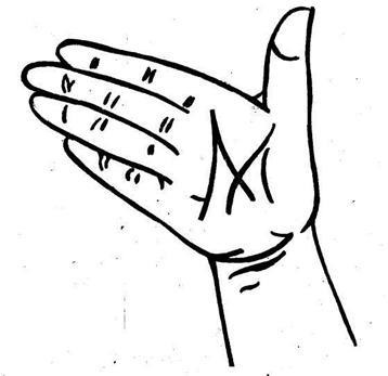 Complex de exerciții pentru dezvoltarea abilităților motrice ale degetelor - stadopedia