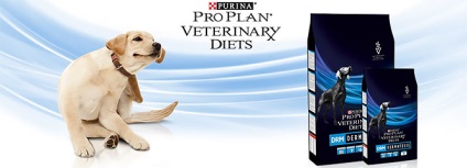 Furaj purina drm veterinar dieta pentru dermatoses la câini - cumpara ieftine în moscow ieftine