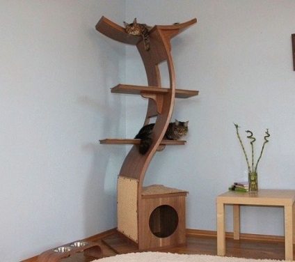 O pisică în casa ta - cum să-ți aranjezi un loc pentru ea să trăiască - un loc al canapelei rammy baby dom