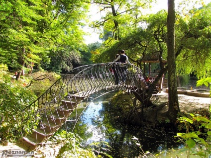 Krasnokutsky dendropark Kharkiv regiune