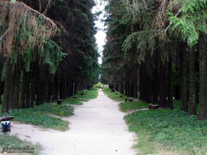Krasnokutsky dendropark Kharkiv regiune