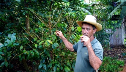 Cuba cafea, trabuc, rom, blog despre cafea - Sergey reminny