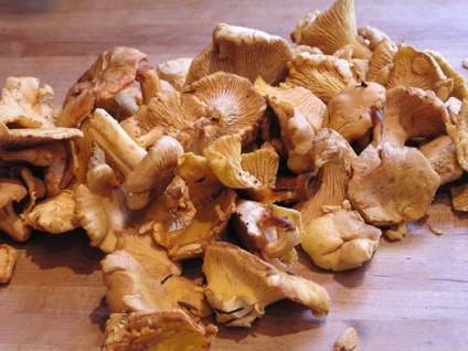 Chanterelles - un tratament al regilor; ) cum și ce să gătească, rețete delicioase