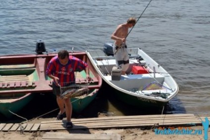 Îl prindem pe Chekhon pe căile de șanțuri, pe lupte și pe momeli - pescuitul pe achtuba cu confort - o bază de pescuit