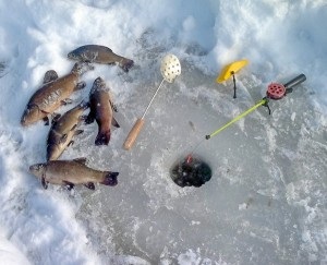 Tench halászati ​​különösen télen
