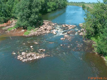 Pescuit în primăvară, sfaturi pentru pescari