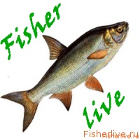 Pescuit în primăvară, sfaturi pentru pescari