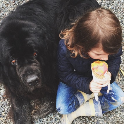Anya vett egy fotósorozat barátságáról ő 7 éves fia, két hatalmas kutya és ló
