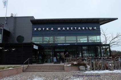 Maretarium Kotka, vagy hogy hol élnek, finn hal