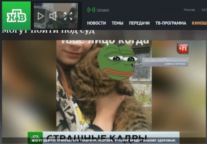 Meme cu o broasca pepe a fost arătat în povestea NTV despre fetele din Khabarovsk acuzat de zhivodevstvo