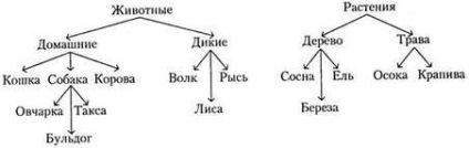 Metode de concepte de cercetare - stadopedia