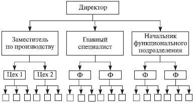 Structuri organizatorice mecanice - stadopedie