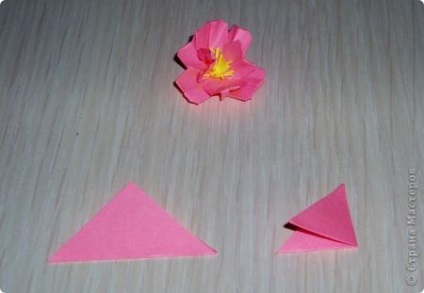 Mk-origami flori de sakura sau cireșe