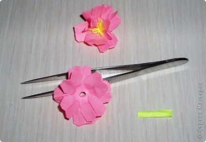 Mark origami virágok Sakura, cseresznye vagy meggy