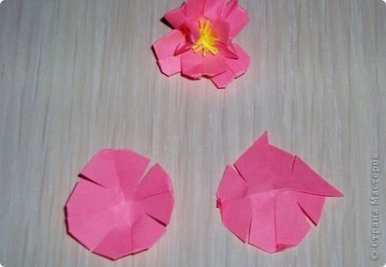 Mark origami virágok Sakura, cseresznye vagy meggy