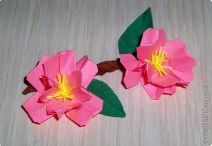 Mk-origami flori de sakura sau cireșe