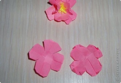 Mk-origami flori de sakura sau cireșe