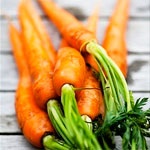 Compoziția morcovului, beneficiile și proprietățile, dieta morcovă, aplicarea morcovilor
