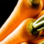 Compoziția morcovului, beneficiile și proprietățile, dieta morcovă, aplicarea morcovilor