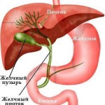 Remedii populare pentru vezica biliară în timpul sarcinii