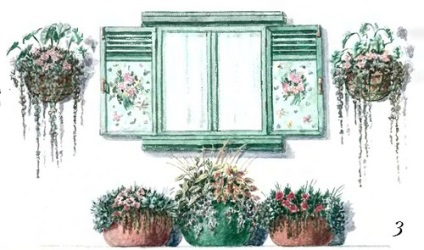 Design exterior de ferestre opțiuni și idei, plante o grădină