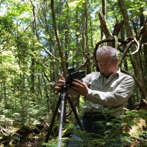 Obsedat de fotograful Fuji oyama yukio, informații despre Japonia