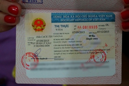 Înregistrarea vizei pentru vietnamezi pentru procedura, termenii și costul rusilor