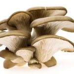 Simptome de intoxicație cu ciuperci, prim ajutor