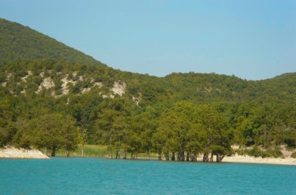 Lake szukát - a ciprusok a vízben, és hogyan éri el