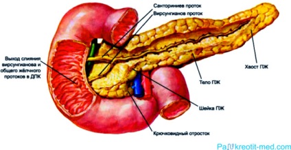 Pancreatită, pancreas