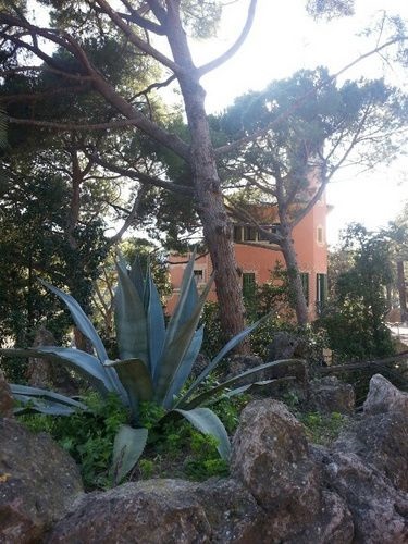 Park Güell, Barcelona - a történelem, hogyan juthatunk el oda, és mit kell látni