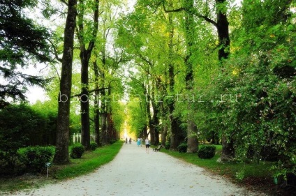 Parcul culturilor sudice, Adler cum să ajungi acolo, fotografie, istorie