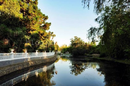 Parcul culturilor sudice, Adler cum să ajungi acolo, fotografie, istorie