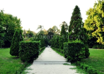 Parcul culturilor sudice, Adler cum să ajungi acolo, fotografie, istorie