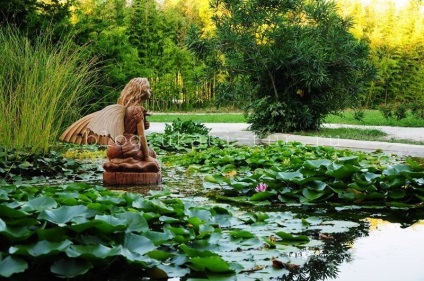 Parcul culturilor sudice, Adler cum să ajungi acolo, fotografie, istorie