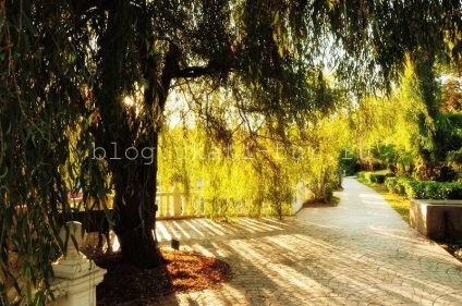 Parcul culturilor sudice, Adler cum să ajungi acolo, fotografie, istorie