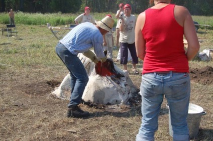 O sobă din ziare sau un ceramist de vară în aer liber - târg de maeștri - manual, manual